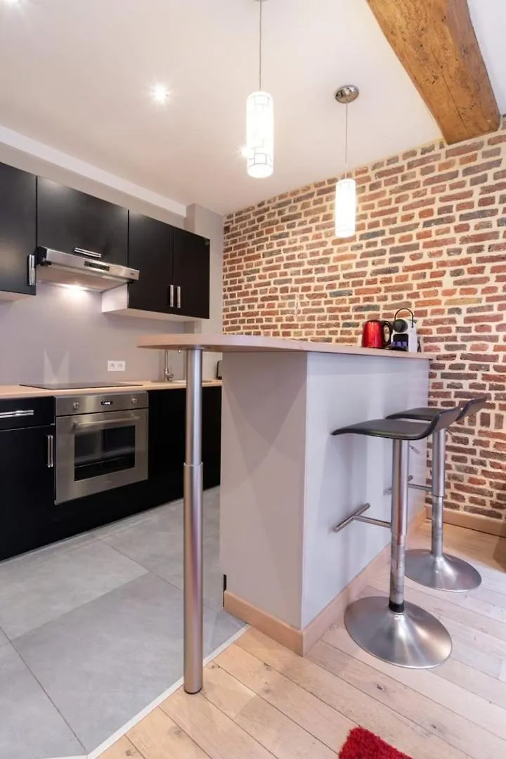 Vieux Lille - Appart Lumineux Avec Cachet ! 2Pers 0*,  프랑스